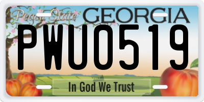 GA license plate PWU0519