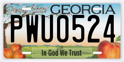 GA license plate PWU0524