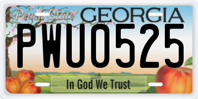 GA license plate PWU0525