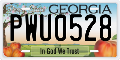 GA license plate PWU0528