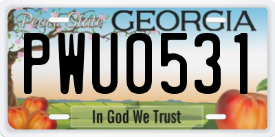 GA license plate PWU0531