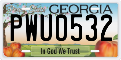 GA license plate PWU0532