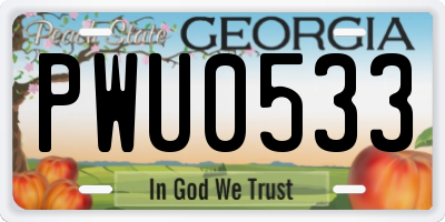 GA license plate PWU0533