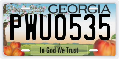 GA license plate PWU0535