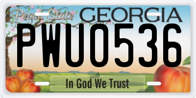 GA license plate PWU0536