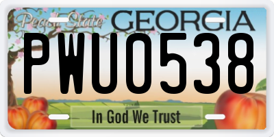 GA license plate PWU0538
