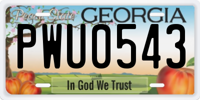 GA license plate PWU0543