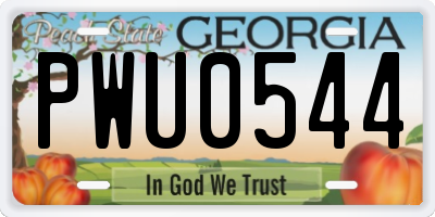 GA license plate PWU0544