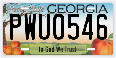 GA license plate PWU0546