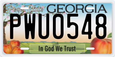 GA license plate PWU0548