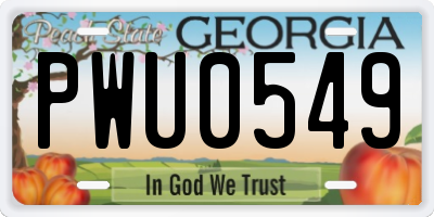 GA license plate PWU0549