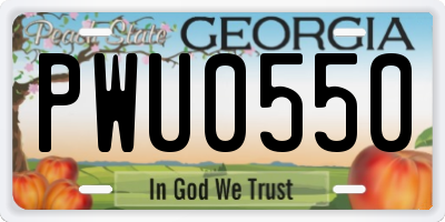 GA license plate PWU0550