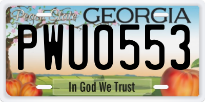 GA license plate PWU0553