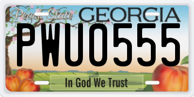 GA license plate PWU0555