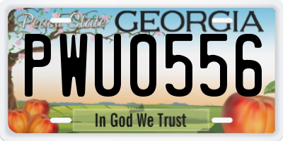 GA license plate PWU0556