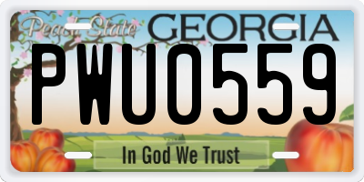 GA license plate PWU0559