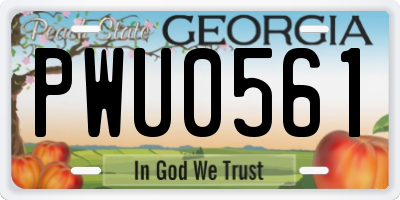 GA license plate PWU0561