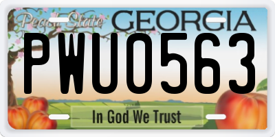 GA license plate PWU0563
