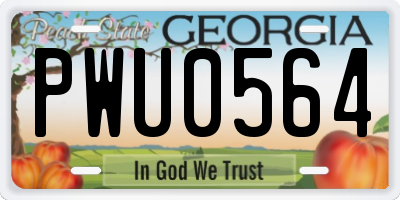GA license plate PWU0564