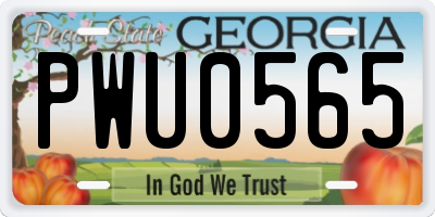 GA license plate PWU0565