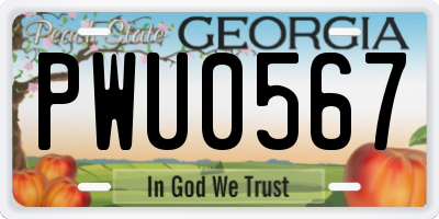 GA license plate PWU0567