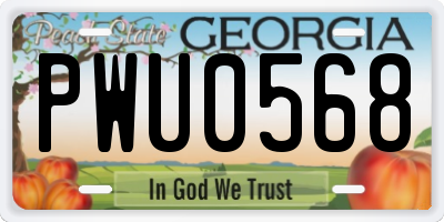 GA license plate PWU0568