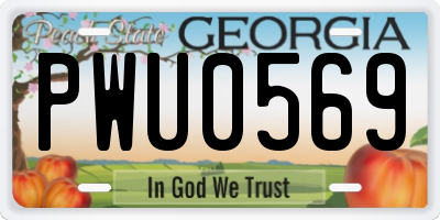 GA license plate PWU0569