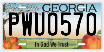 GA license plate PWU0570