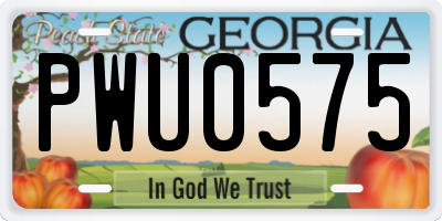 GA license plate PWU0575