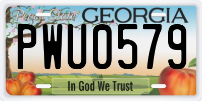 GA license plate PWU0579