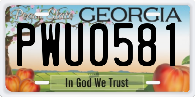 GA license plate PWU0581