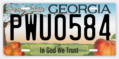 GA license plate PWU0584