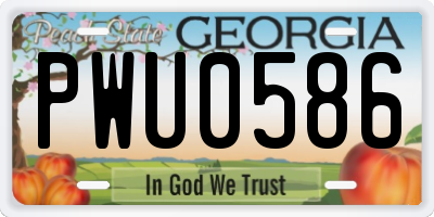 GA license plate PWU0586