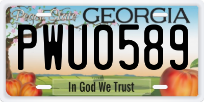 GA license plate PWU0589