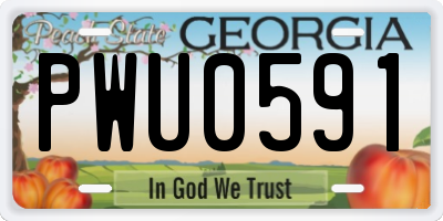 GA license plate PWU0591