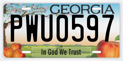 GA license plate PWU0597