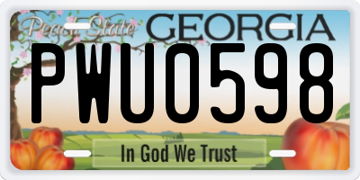 GA license plate PWU0598