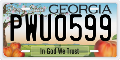 GA license plate PWU0599