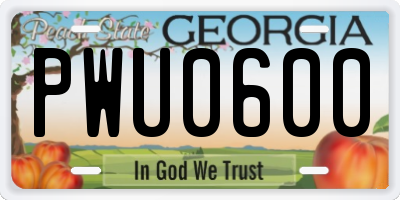 GA license plate PWU0600