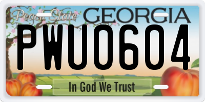 GA license plate PWU0604
