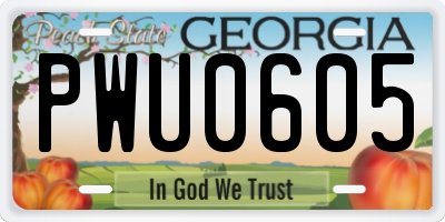 GA license plate PWU0605