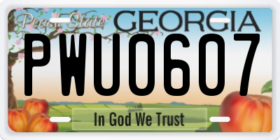 GA license plate PWU0607