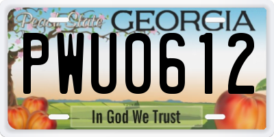 GA license plate PWU0612