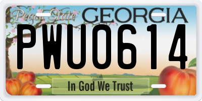 GA license plate PWU0614