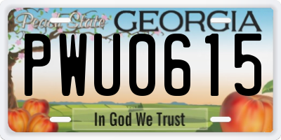 GA license plate PWU0615