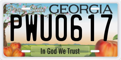 GA license plate PWU0617