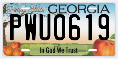 GA license plate PWU0619