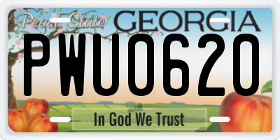 GA license plate PWU0620