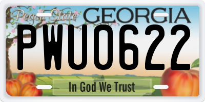 GA license plate PWU0622