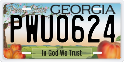 GA license plate PWU0624
